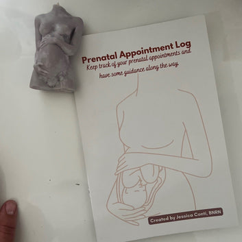 Prenatal Appointment Log