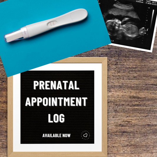 Prenatal Appointment Log